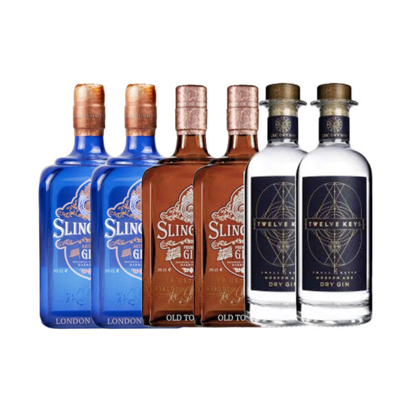 6 x diverse Gins (2x2x2)
