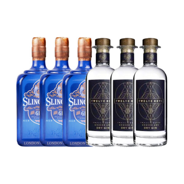 6 x diverse Gins (2x3)